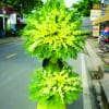 Hoa viếng Lan Thái vàng