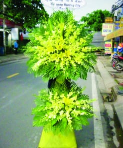 Hoa viếng Lan Thái vàng