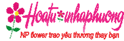Npflower
