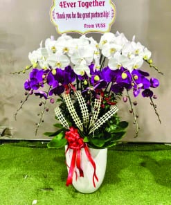 Chậu Lan Hồ Điệp 10 cành